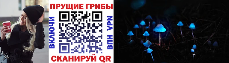 где продают наркотики  Балахна  Псилоцибиновые грибы Cubensis 