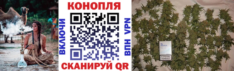 Канабис ГИДРОПОН Балахна